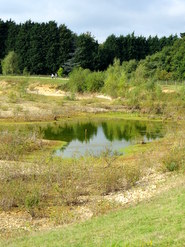 Oct 2013: Crookham Pools